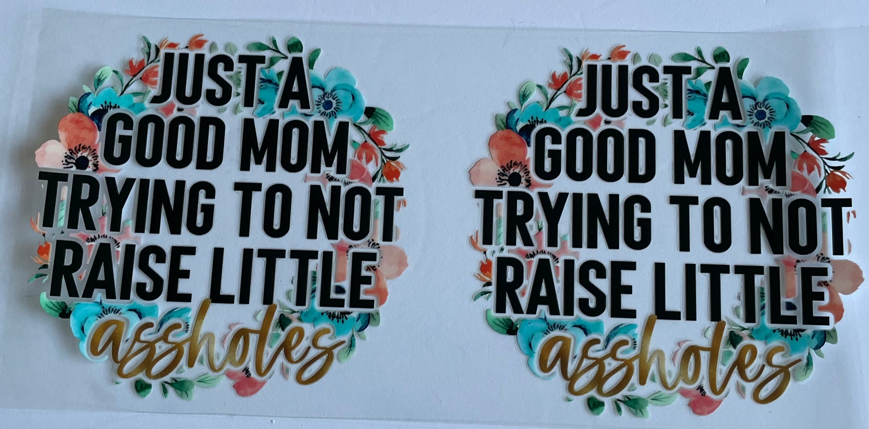 Just A Good Mom Trying To Not Raise Little Assholes